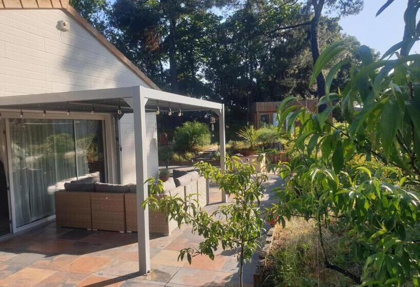 Bed and Breakfast Chambre D Hôte La Maison Des Fées