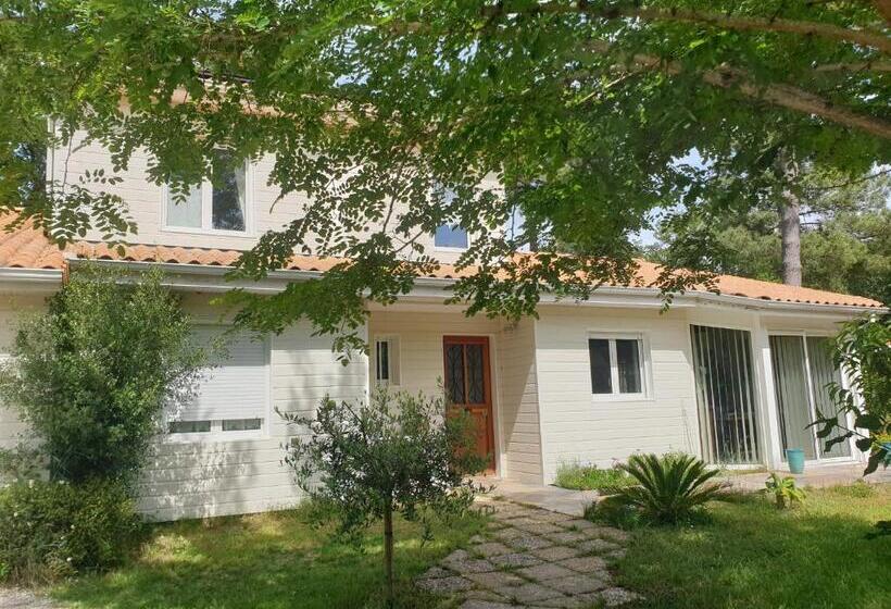 ベッドアンドブレックファースト Chambre D Hôte La Maison Des Fées