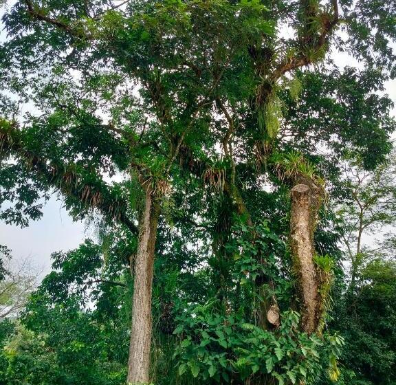 تختخواب و صبحانه Doral House Villavicencio