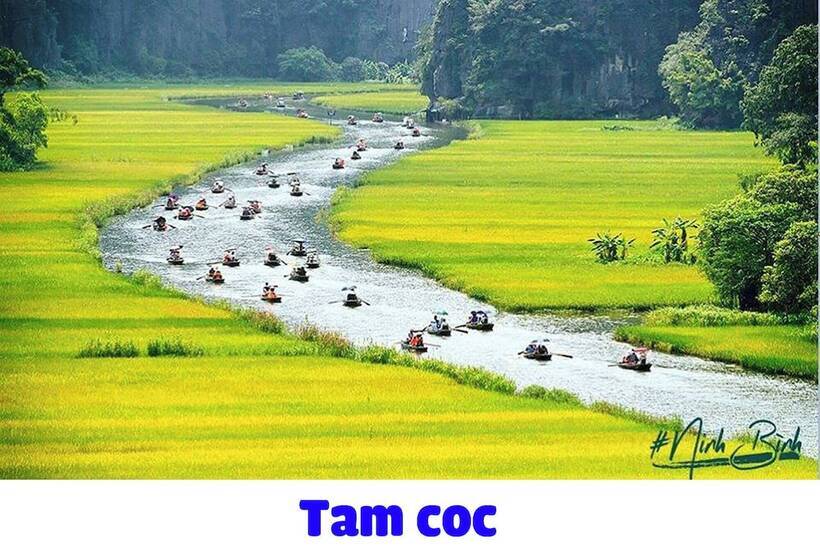 پانسیون Room In Chalet   Trang An Ao Dai Homestay