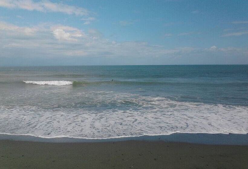 هتل Awel Seashore Inn Near Surf Spot