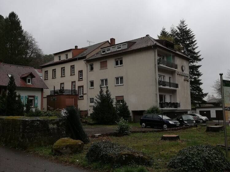 호텔 Gästehaus Luise