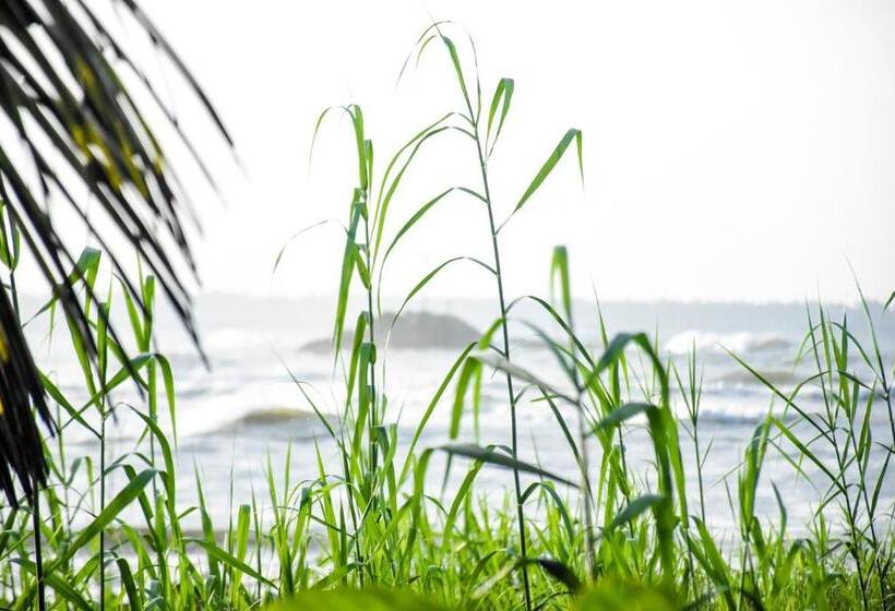 ホテル Oshans Home   Guest House   Polhena