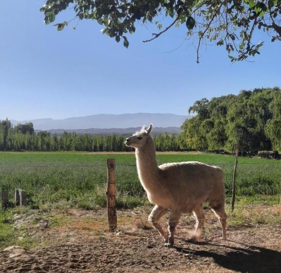 Отель Posta Kamak Eco Posada Rural