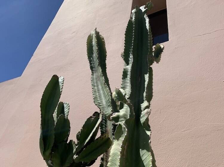 پانسیون Dar Almajula