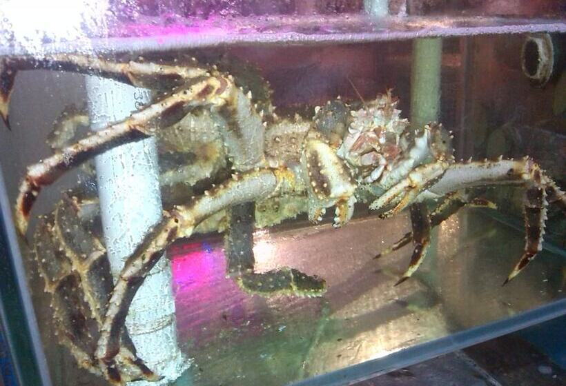 ユースホステル Haibianke Old Street