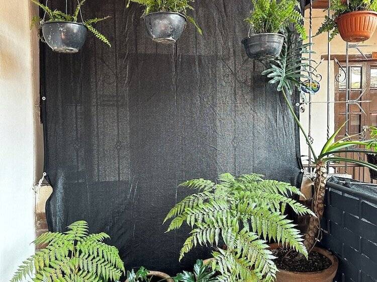 Общежитие Posada Mubuji