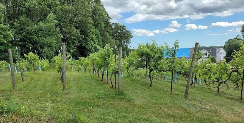 צימר The Cottage At Amos Lake