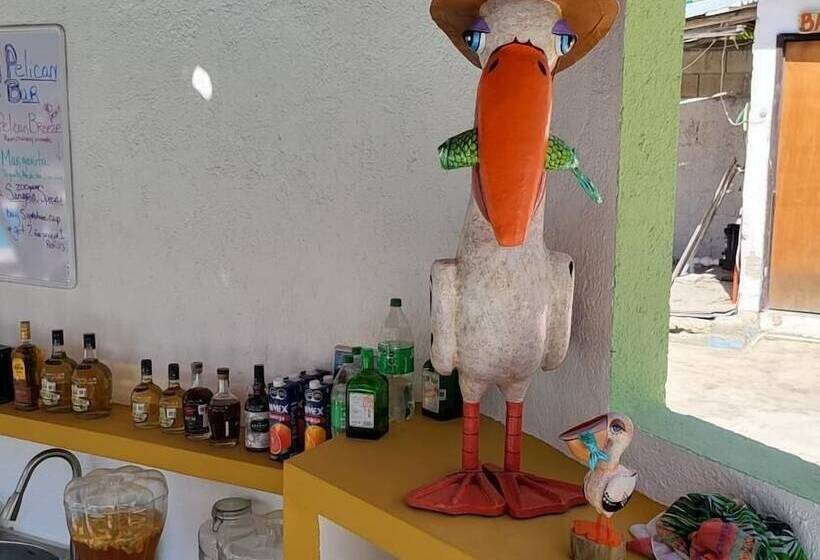 هتل Pelican Inn At Las Dunas Chelem