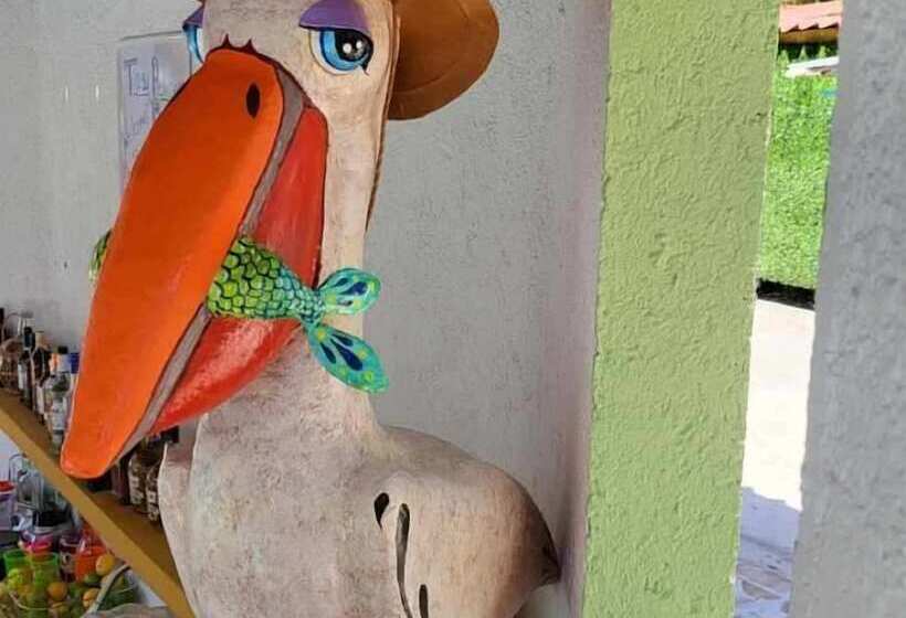 هتل Pelican Inn At Las Dunas Chelem