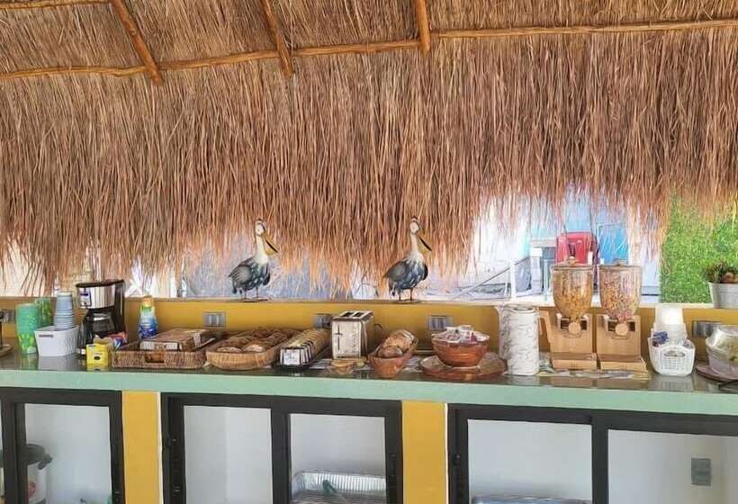 هتل Pelican Inn At Las Dunas Chelem