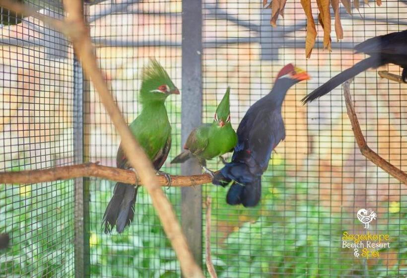 בית מלון כפרי Sogakope Beach Resort & Spa