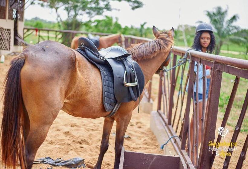 فندق Sogakope Beach Resort & Spa