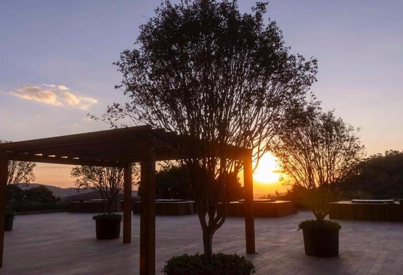 ホテル Bendito Cacao Family Resort