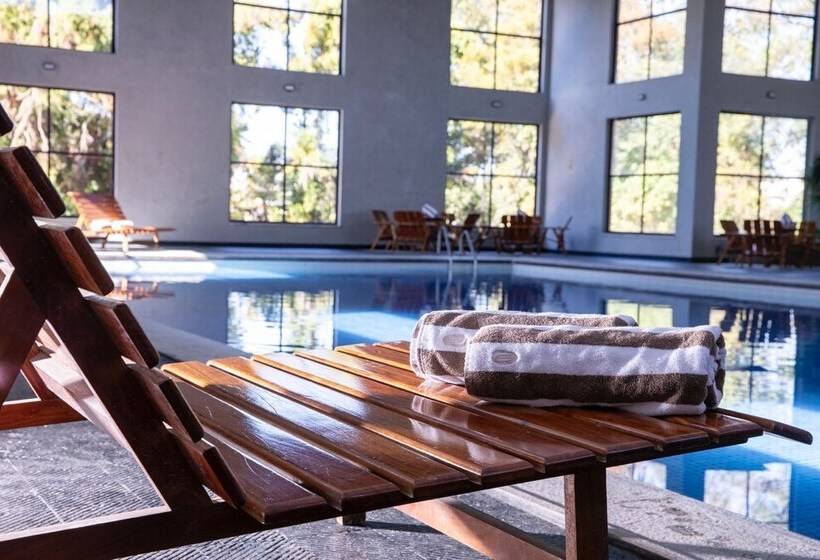 ホテル Bendito Cacao Family Resort