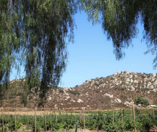 בית מלון כפרי Casa Luna Viñedo