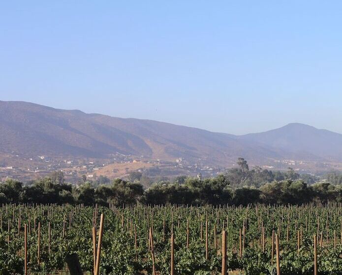 בית מלון כפרי Casa Luna Viñedo