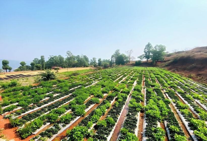 בית מלון כפרי Greenland Stay