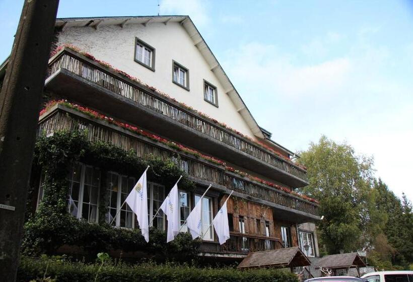 Отель Maison Des Ardennes