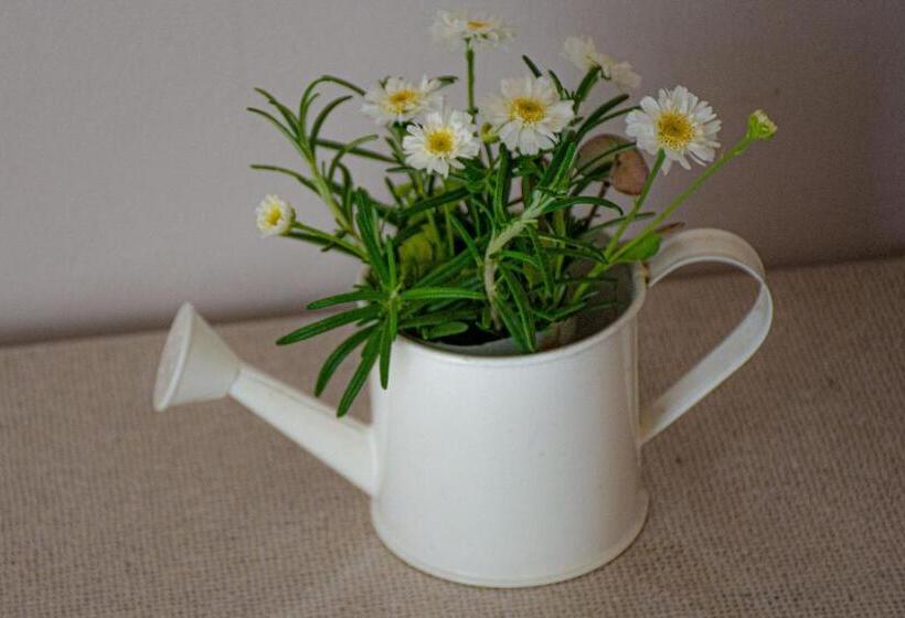 بنسيون En Suite Private Room. Centrally Located