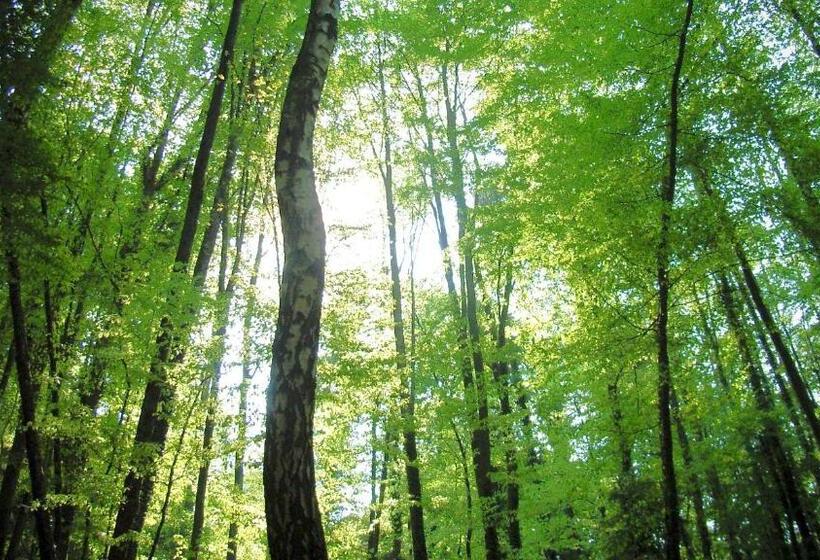 ペンション Weingut Gästehaus Buchert