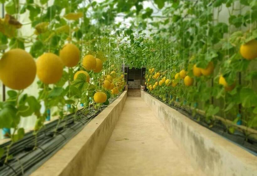 ホテル เมล่อนลอยฟ้า