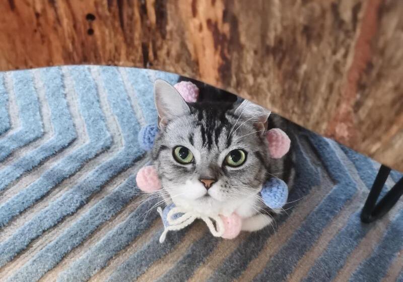 בית מלון כפרי Blossom House Nanjing Laomendong Zhuque Lane