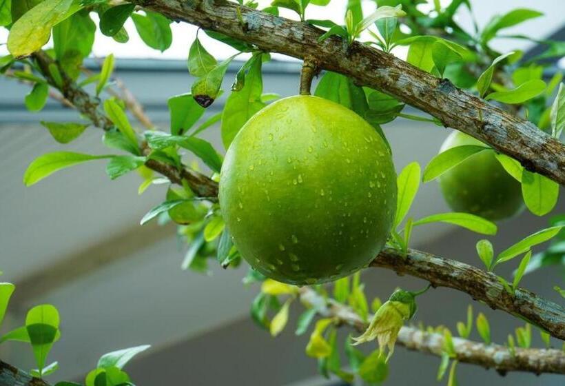 Отель Bm Pattani Apartment