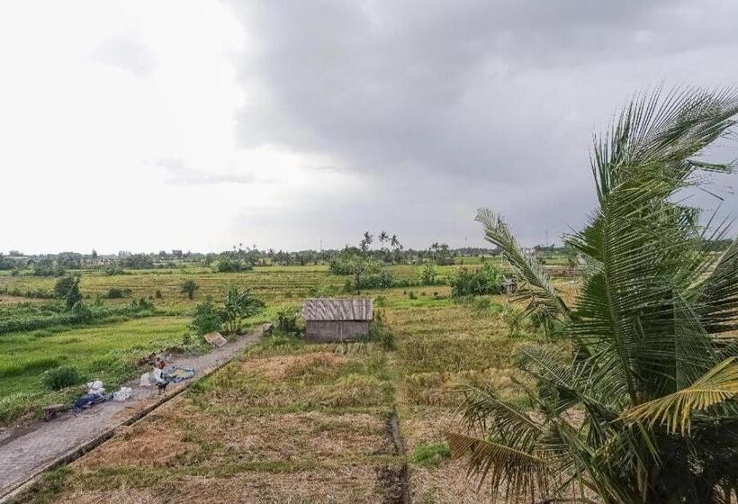 בית מלון כפרי Kerti Suite