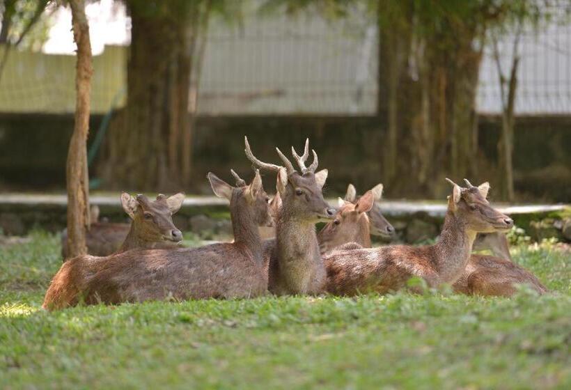 Отель Urbanview Syariah Wisma Nabil Solo