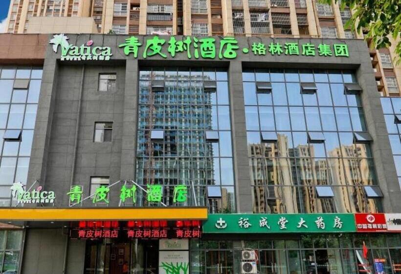 Vatica Hotel Hefei Yaohai Longgang Subway Station