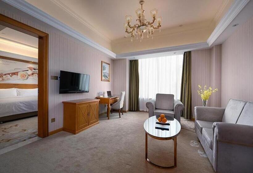 Vienna Hotel Hebei Hengshui High Speed Railway Station