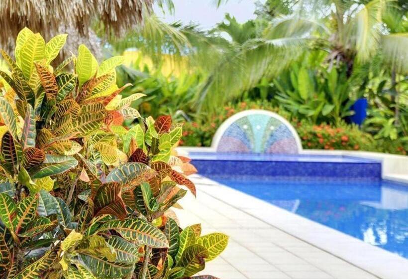 Alma Del Pacifico Beach Hotel And Spa