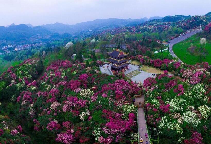 Chonpines Hotels·qianxi Shuixi