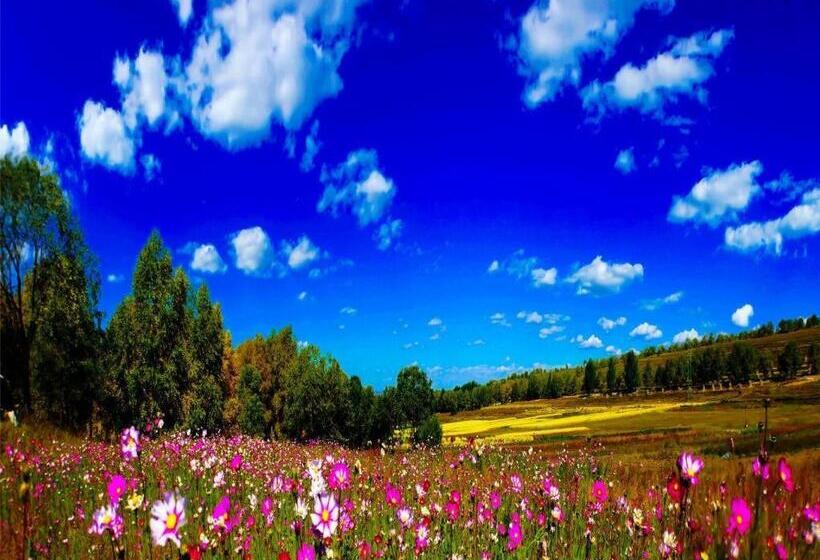 Hôtel James Joyce Coffetel Zhangjiakou Xiahuayuan Metro Station