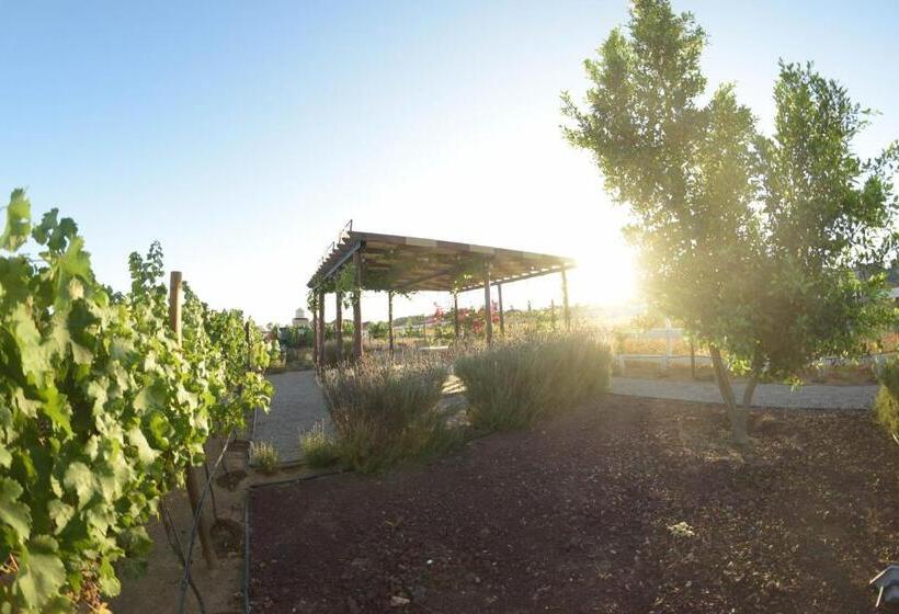 3333 Luz Del Valle Hotel Boutique