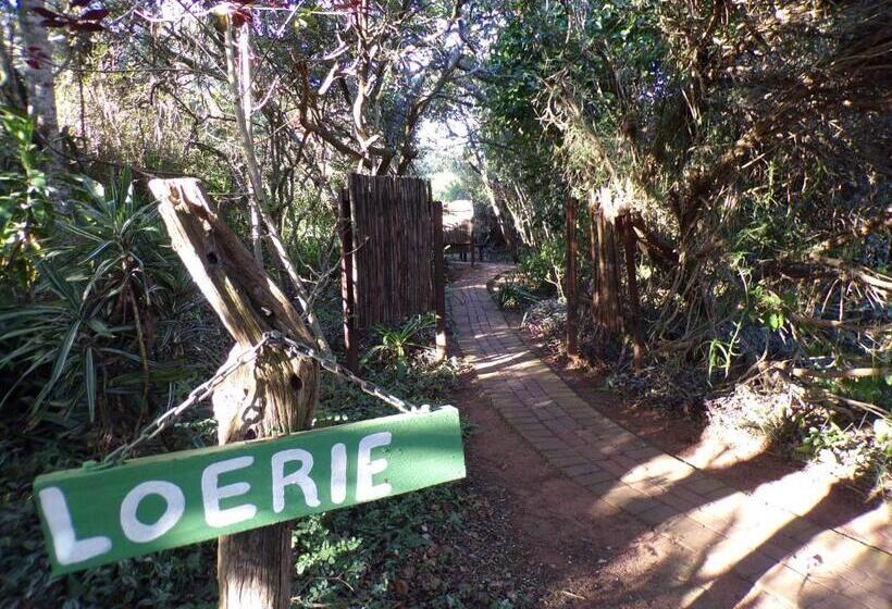 فندق صغير Woodlands Cottages & Camping