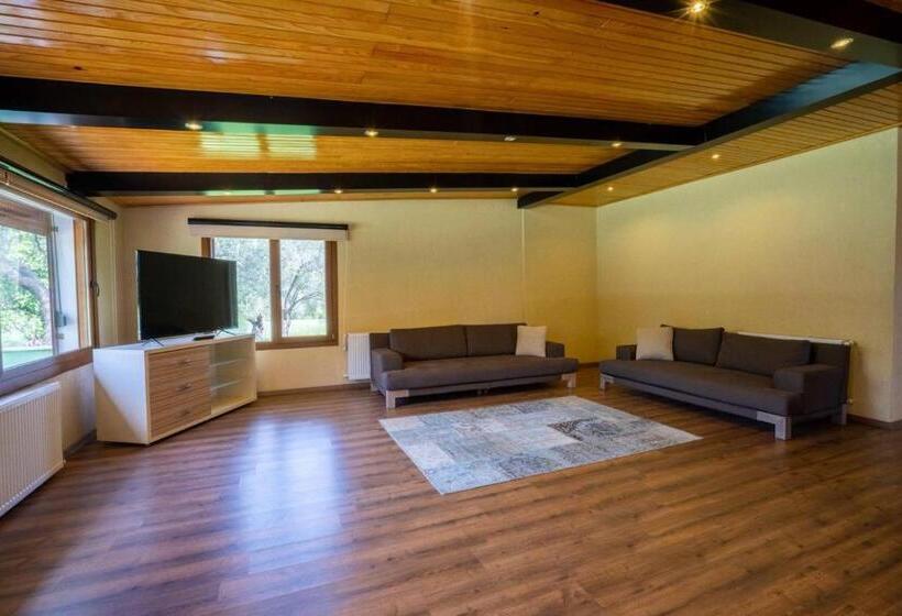 مبيت وإفطار Alegorri Homes