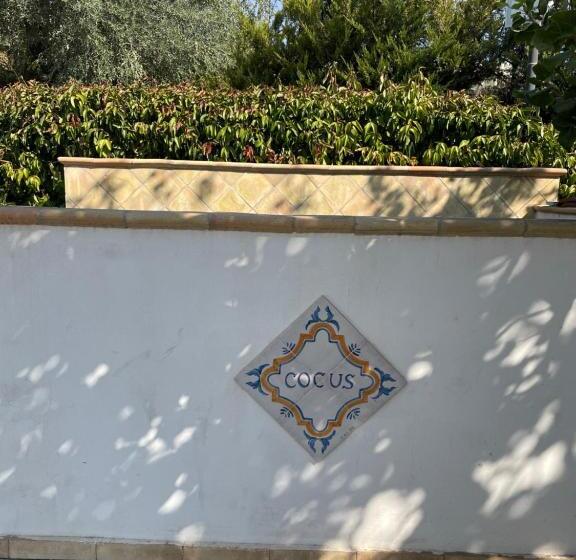 צימר Cocus