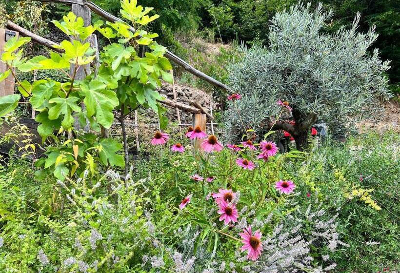 مبيت وإفطار Les Magnels