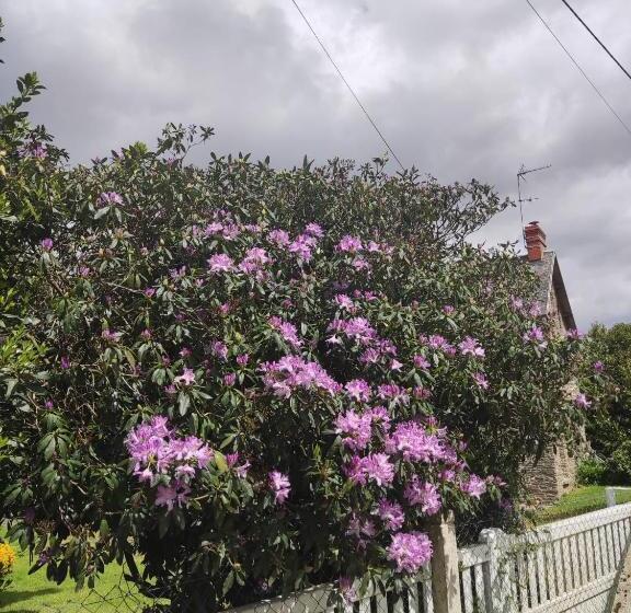 مبيت وإفطار Marianne Cottage Chambre D Hotes