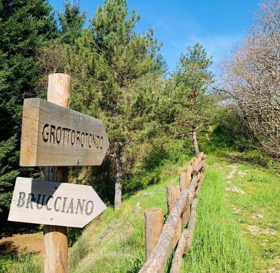 Charming B&b In Toscana, La Dimora Del Codirosso