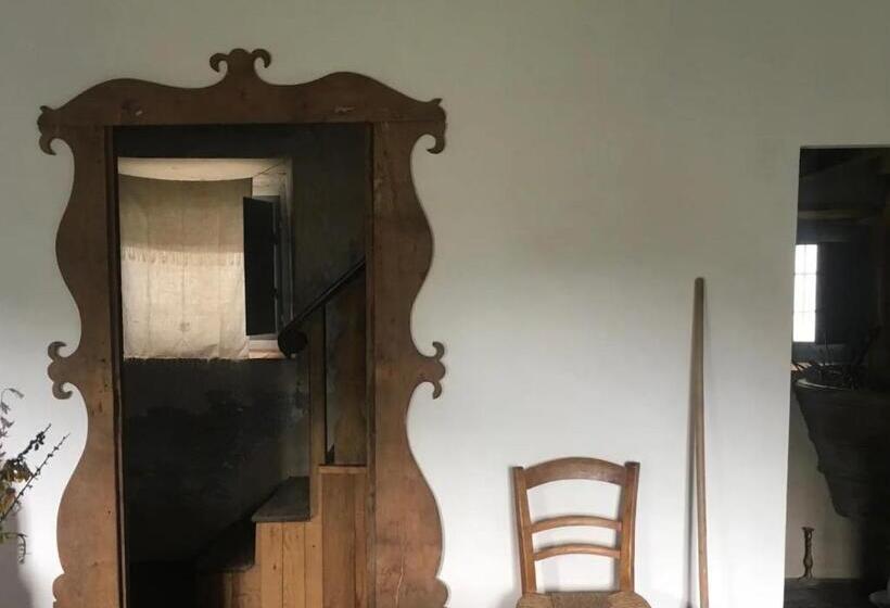 Charming B&b In Toscana, La Dimora Del Codirosso