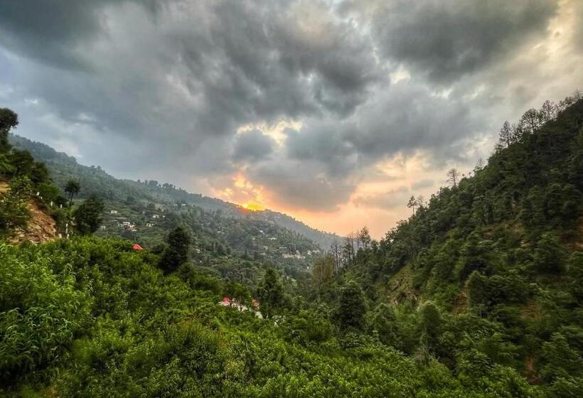 ホテル Beyond Wifi Peach Farmstay