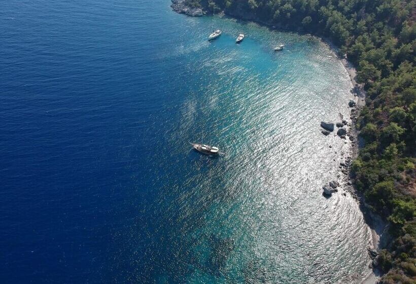 فندق Bodrum Liman Resort