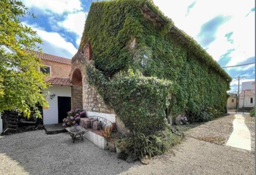 酒店 Casa Luis Pato