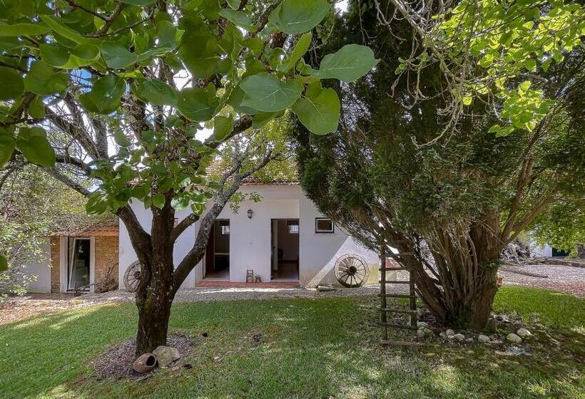 酒店 Casa Luis Pato