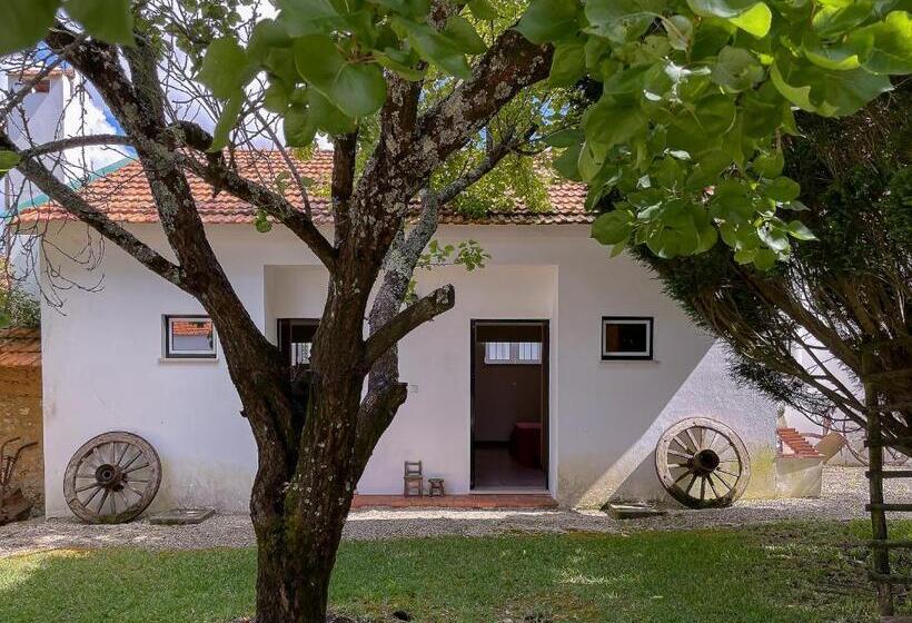 酒店 Casa Luis Pato