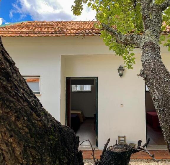 酒店 Casa Luis Pato