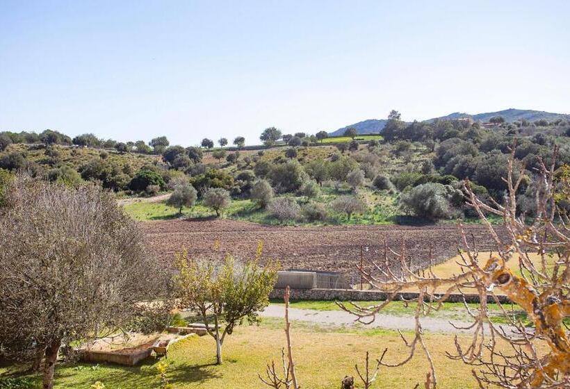 Отель Finca S Hort De Sa Begura